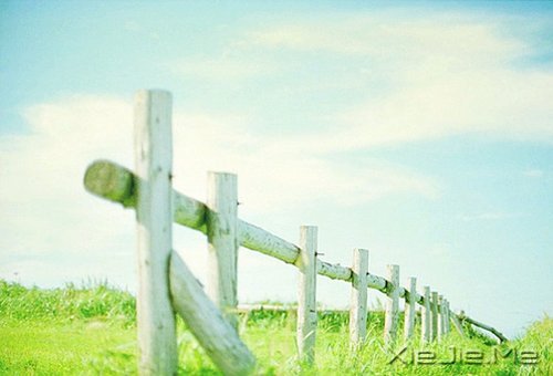幸福是自己的，永远不要拿别人来做参照 (1)