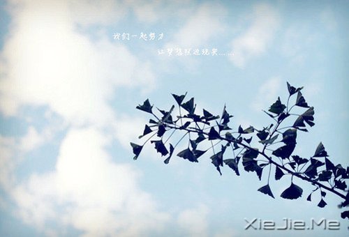 幸福是自己的，永远不要拿别人来做参照 (7)